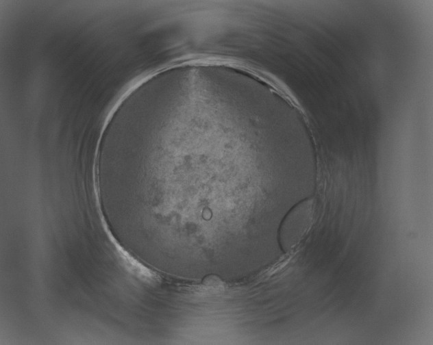 X0000051861247200506241313