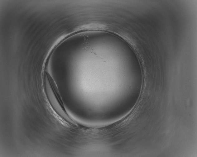 X0000051861248200506241313