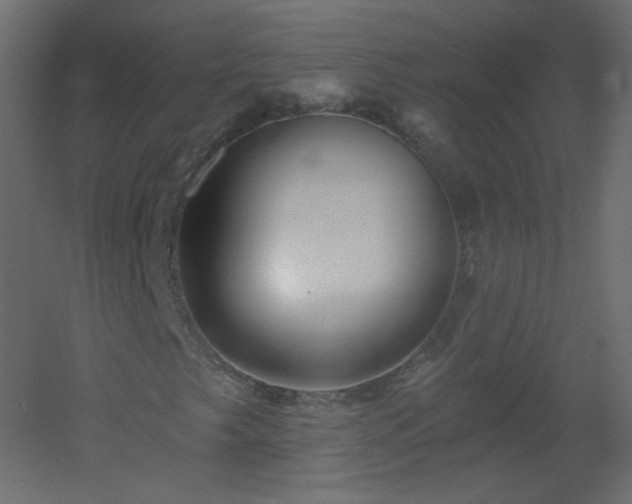 X0000051861249200506241312