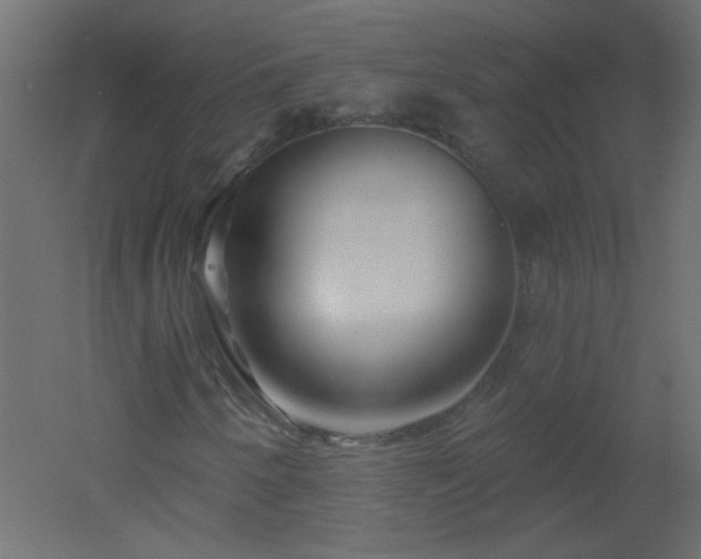 X0000051861250200506241312