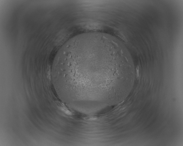 X0000051861251200506241312