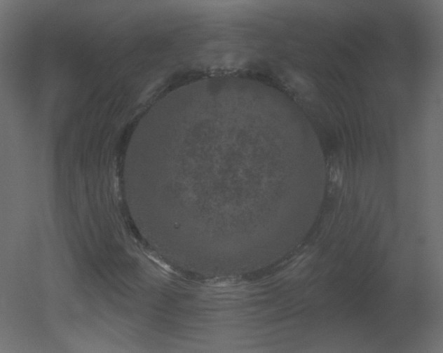 X0000051861252200506241312