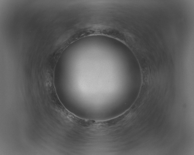 X0000051861253200506241312