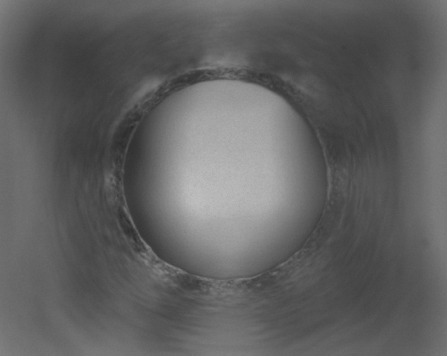 X0000051861254200506241312