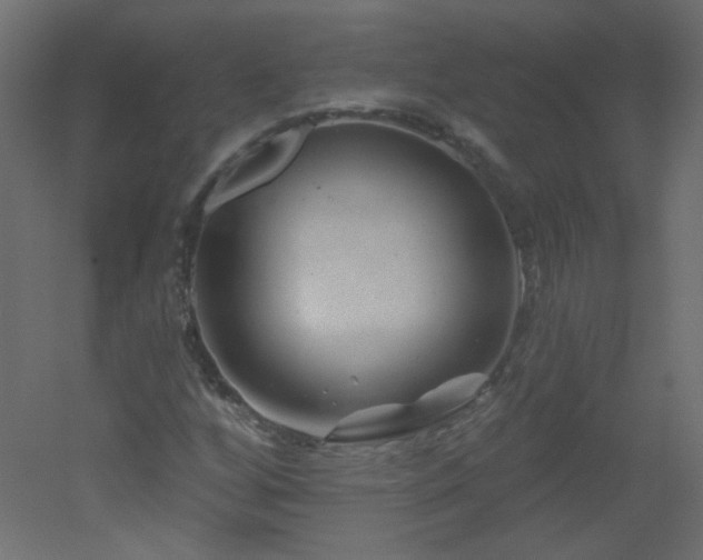 X0000051861256200506241312