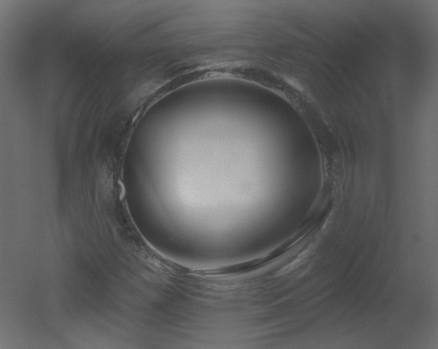 X0000051861257200506241312