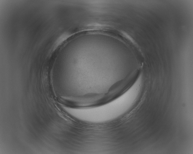 X0000051861259200506241312