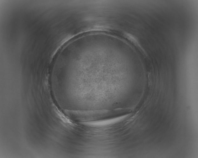 X0000051861260200506241312