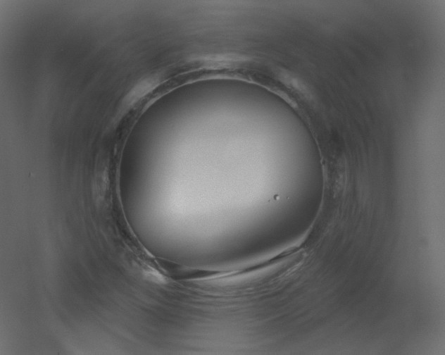 X0000051861261200506241312