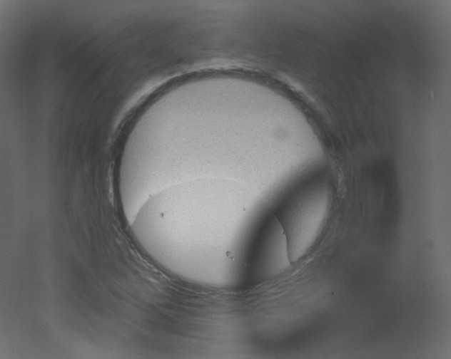 X0000051861262200506241312