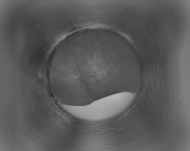 X0000051861263200506241311