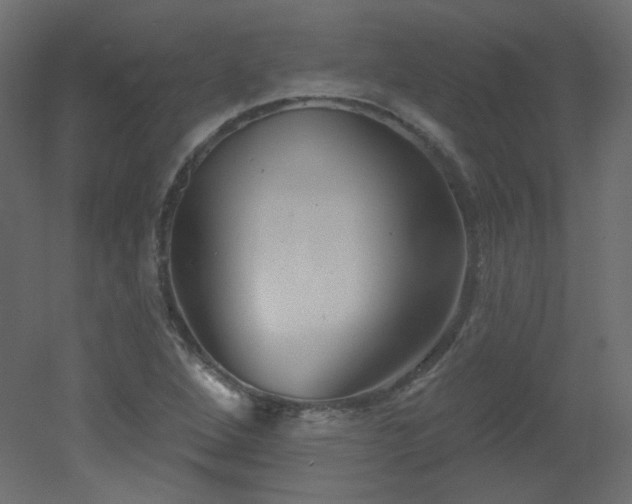 X0000051861264200506241311