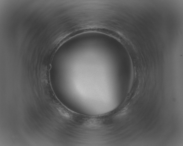 X0000051861265200506241311