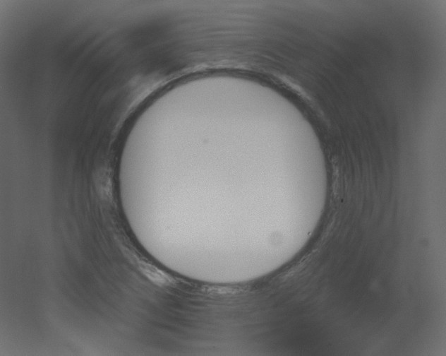 X0000051861266200506241311