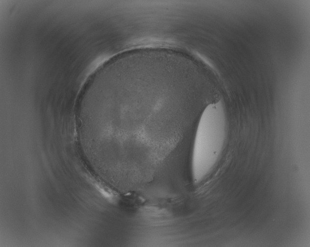 X0000051861267200506241311