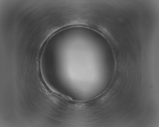 X0000051861268200506241311