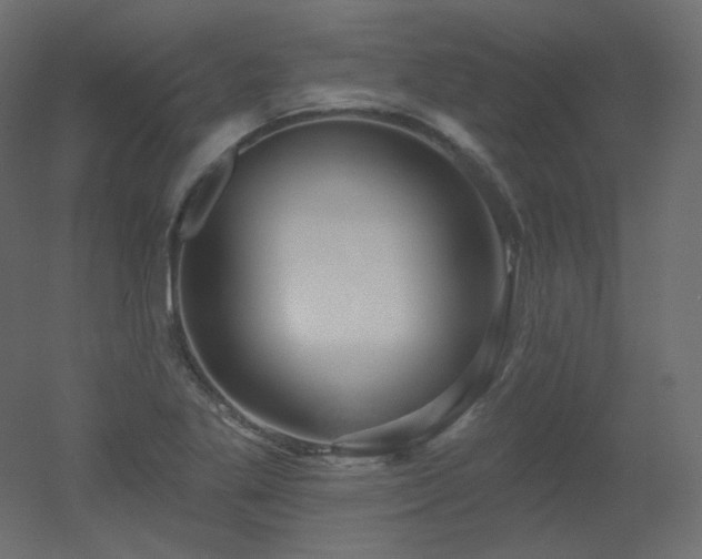 X0000051861269200506241311