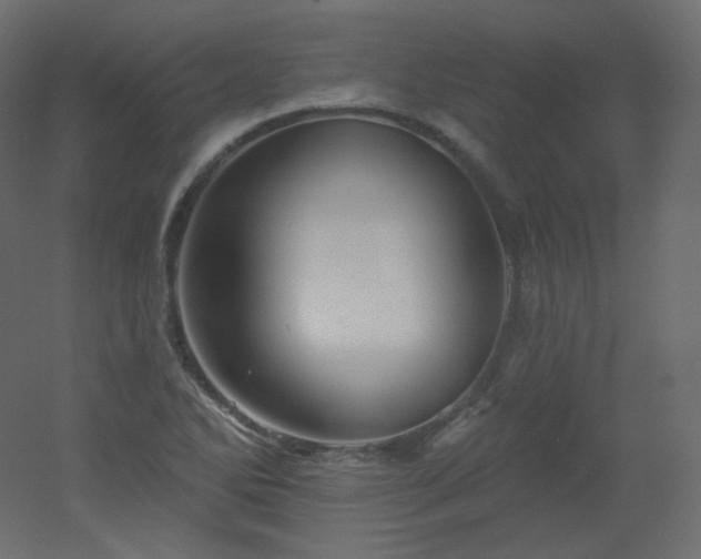 X0000051861270200506241311