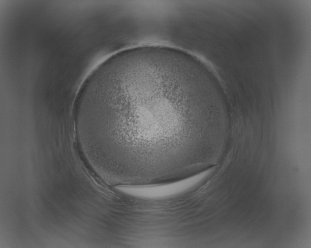 X0000051861271200506241311