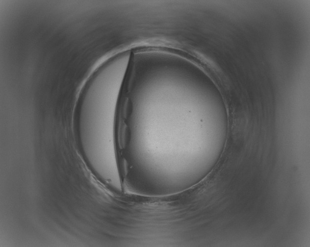 X0000051861272200506241311