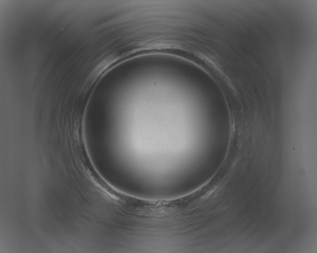 X0000051861273200506241311