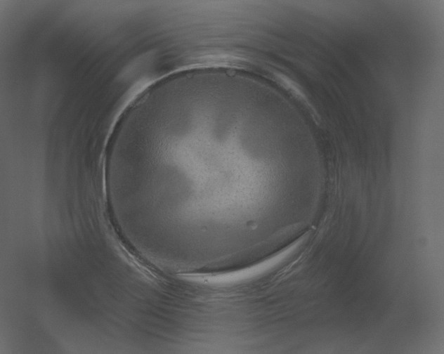 X0000051861275200506241311