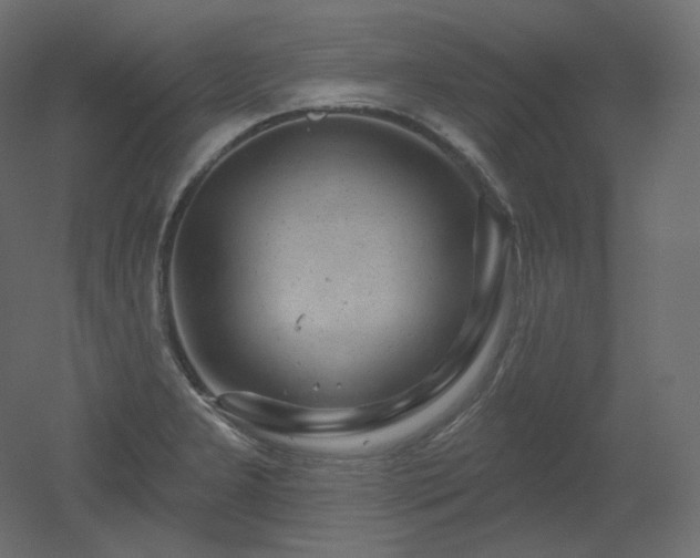 X0000051861277200506241311