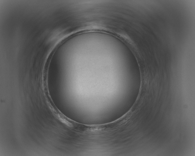 X0000051861278200506241311