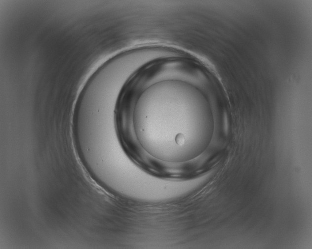 X0000051861279200506241311