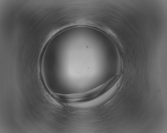 X0000051861280200506241311