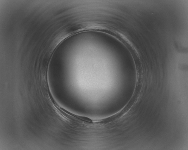 X0000051861281200506241311