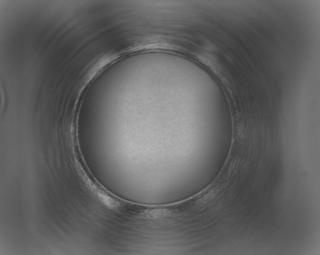 X0000051861282200506241311