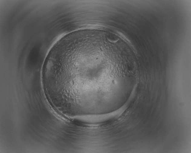 X0000051861283200506241311