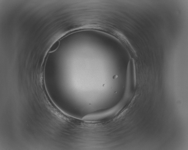 X0000051861284200506241311