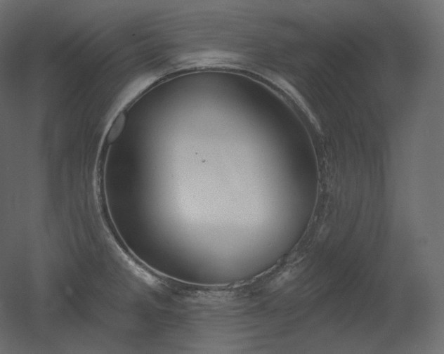 X0000051861285200506241311