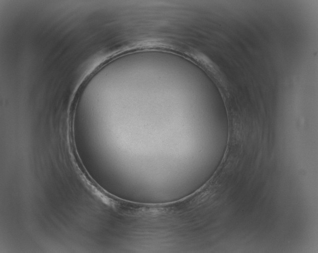 X0000051861286200506241311