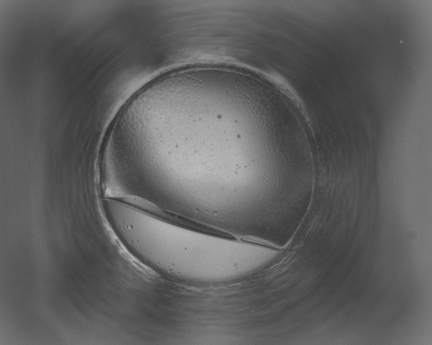 X0000051861287200506241311