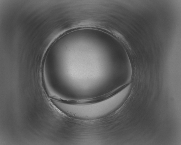 X0000051861288200506241311