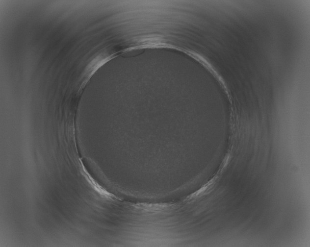 X0000051861289200506241311