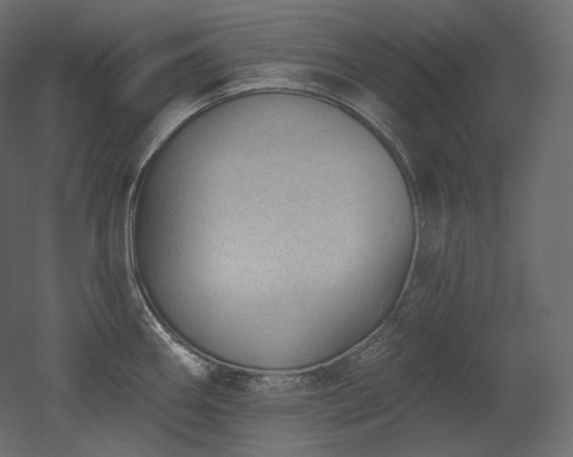 X0000051861290200506241311