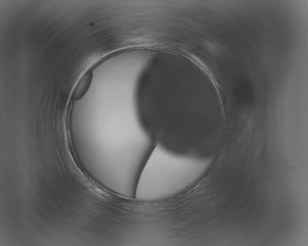 X0000051861291200506241311