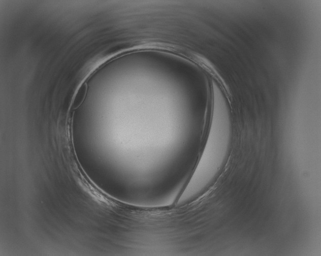 X0000051861292200506241311