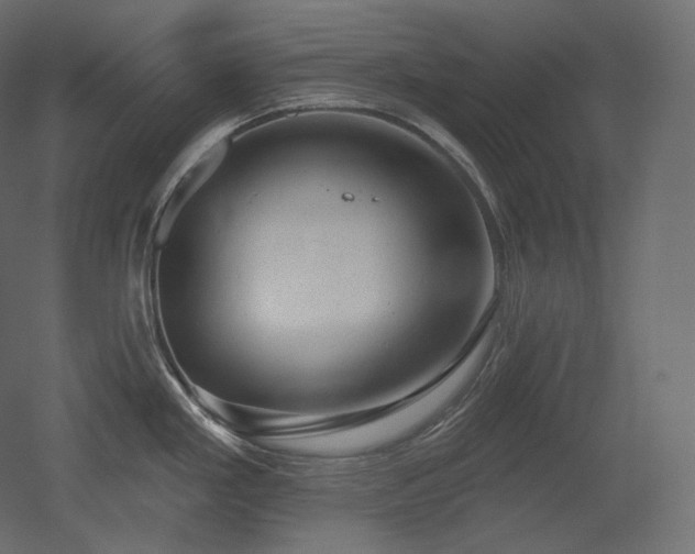 X0000051861293200506241311