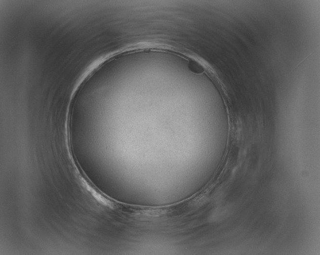 X0000051861294200506241311