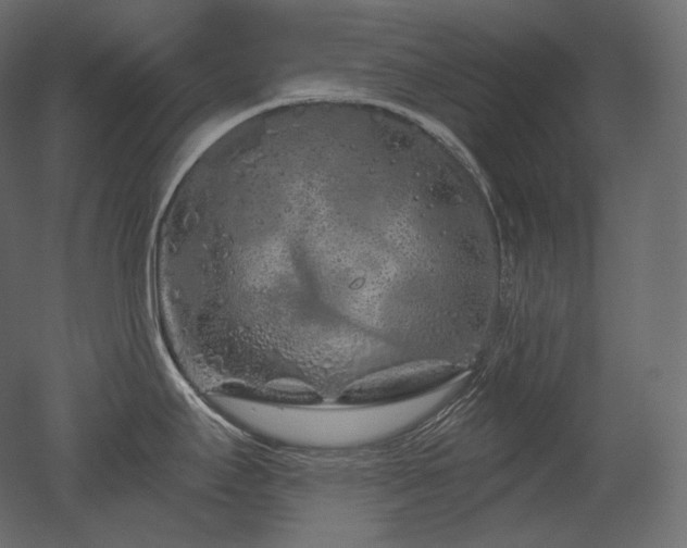 X0000051861295200506241311