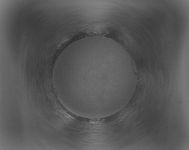 X0000051861297200506241310