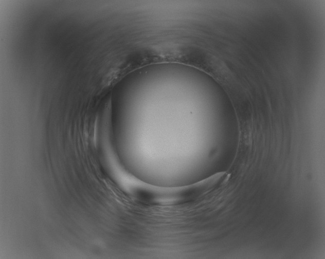 X0000051861298200506241310