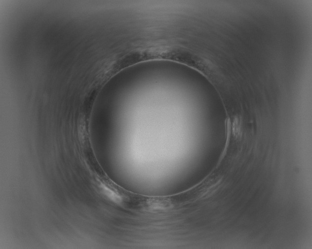 X0000051861299200506241310