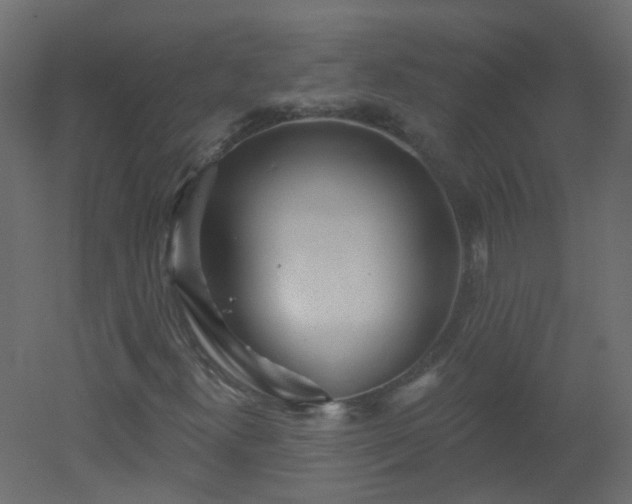 X0000051861300200506241310