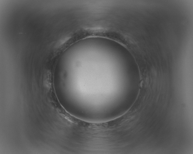 X0000051861301200506241310